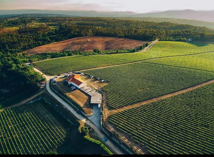 Quinta das Camélias