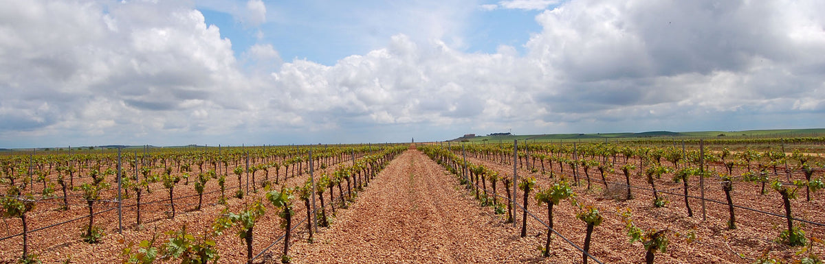 Bodegas Álvarez y Díez