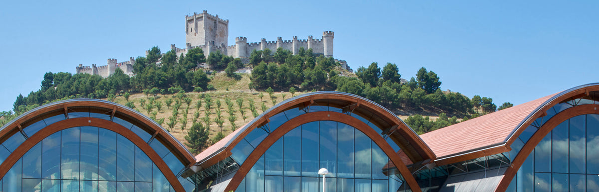 Bodegas Protos